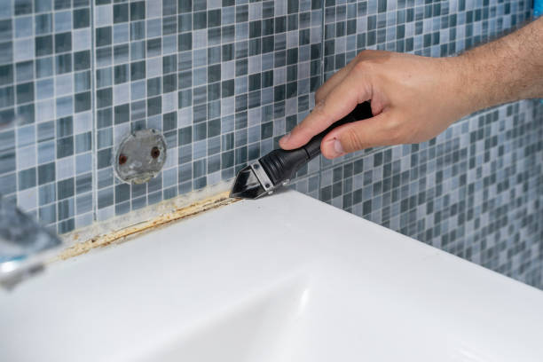 Best Mold Testing  in Springfield, MO