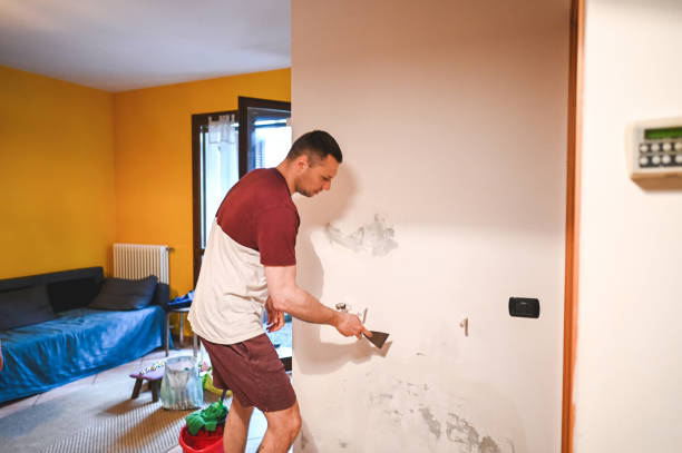 Best Emergency Mold Removal  in Springfield, MO